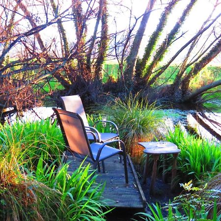 Shady Rest Bed & Breakfast Takaka Exterior foto
